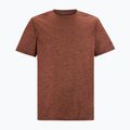 Men's trekking T-shirt REGATTA Fingal Edition brick 5
