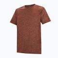Men's trekking T-shirt REGATTA Fingal Edition brick 7