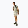 Men's trekking T-shirt REGATTA Fingal Edition light sage 2