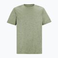 Men's trekking T-shirt REGATTA Fingal Edition light sage 5