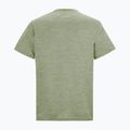 Men's trekking T-shirt REGATTA Fingal Edition light sage 6