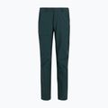 Men's trekking trousers REGATTA Highton II night sky 8