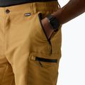 Men's trekking shorts REGATTA Leesville III wood brown 5