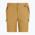 Men's trekking shorts REGATTA Leesville III wood brown 6