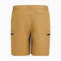 Men's trekking shorts REGATTA Leesville III wood brown 7