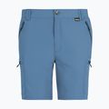 Men's trekking shorts REGATTA Leesville III china blue 5