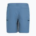Men's trekking shorts REGATTA Leesville III china blue 6