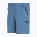 Men's trekking shorts REGATTA Leesville III china blue 7