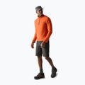 Men's sweatshirt REGATTA Montes rusty orange 2