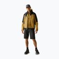 Men's waterproof jacket REGATTA Highton Stretch IV wood brown/black 2