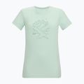 Women's trekking T-shirt REGATTA Fingal ocean mist 5