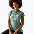 Women's trekking T-shirt REGATTA Breezed ivy moss 4