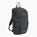 Urban backpack REGATTA Everyday Prism 20 l ash 2