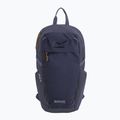 Urban backpack REGATTA Everyday Prism 20 l night sky