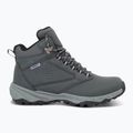 Women's trekking boots REGATTA Amble Boot Waterproof briar/wisteria