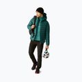Men's insulated jacket Dare 2b Torrek Padded Jacket mediterranea 2
