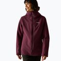 Women's 3-in-1 jacket REGATTA Wentwood 3in1 fig