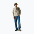 Men's fleece sweatshirt REGATTA Frankie Borg abbeystone/smokey olive 2