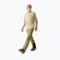 Men's fleece sweatshirt Dare 2b Freethink II Fleece white pepper 2