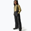 Children's ski trousers Dare 2b Outmove III Insulated Pant black 2