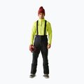 Men's ski trousers Dare 2b Achieve III Pant black