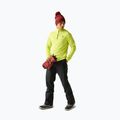 Men's ski trousers Dare 2b Achieve III Pant black 2