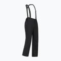 Men's ski trousers Dare 2b Achieve III Pant black 10