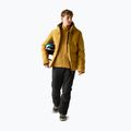 Men's ski jacket Dare 2b Corded Jacket wood brown 2