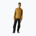 Men's sweatshirt Dare 2b Fuse Up II Core Stretch wood brown 2
