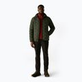 Men's insulated jacket REGATTA Astrel dark khaki/rooibos tea 2