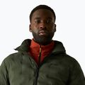 Men's insulated jacket REGATTA Astrel dark khaki/rooibos tea 6