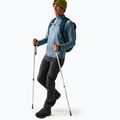Men's softshell trousers REGATTA Geo Softshell ash 2