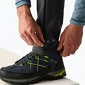 Men's softshell trousers REGATTA Geo Softshell ash 6