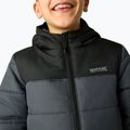 Children's insulated jacket REGATTA Lofthouse black/seal grey 6