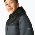 Children's insulated jacket REGATTA Lofthouse black/seal grey 7
