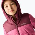 Children's insulated jacket REGATTA Lofthouse fig/violet 6