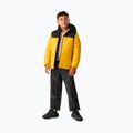 Children's insulated jacket REGATTA Lofthouse black/mustard 2