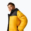 Children's insulated jacket REGATTA Lofthouse black/mustard 6