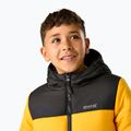 Children's insulated jacket REGATTA Lofthouse black/mustard 7