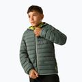 Children's insulated jacket REGATTA Lofthouse dark forest green/wild lime 4