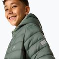 Children's insulated jacket REGATTA Lofthouse dark forest green/wild lime 9