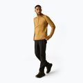 Men's fleece sweatshirt REGATTA Yonder II wood brown 2