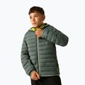 Children's down jacket REGATTA Hooded Marizion dark forest green/wild lime 6