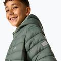 Children's down jacket REGATTA Hooded Marizion dark forest green/wild lime 9