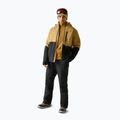 Men's ski jacket Dare2B Halfpipe IV Jacket wood brown/black 2