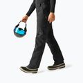 Men's ski trousers Dare 2b Baseplate Insulated Pant black 4