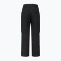Men's ski trousers Dare 2b Baseplate Insulated Pant black 11
