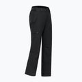 Men's ski trousers Dare 2b Baseplate Insulated Pant black 12