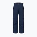 Men's ski trousers Dare 2b Baseplate Insulated Pant navy 9