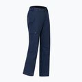 Men's ski trousers Dare 2b Baseplate Insulated Pant navy 11
